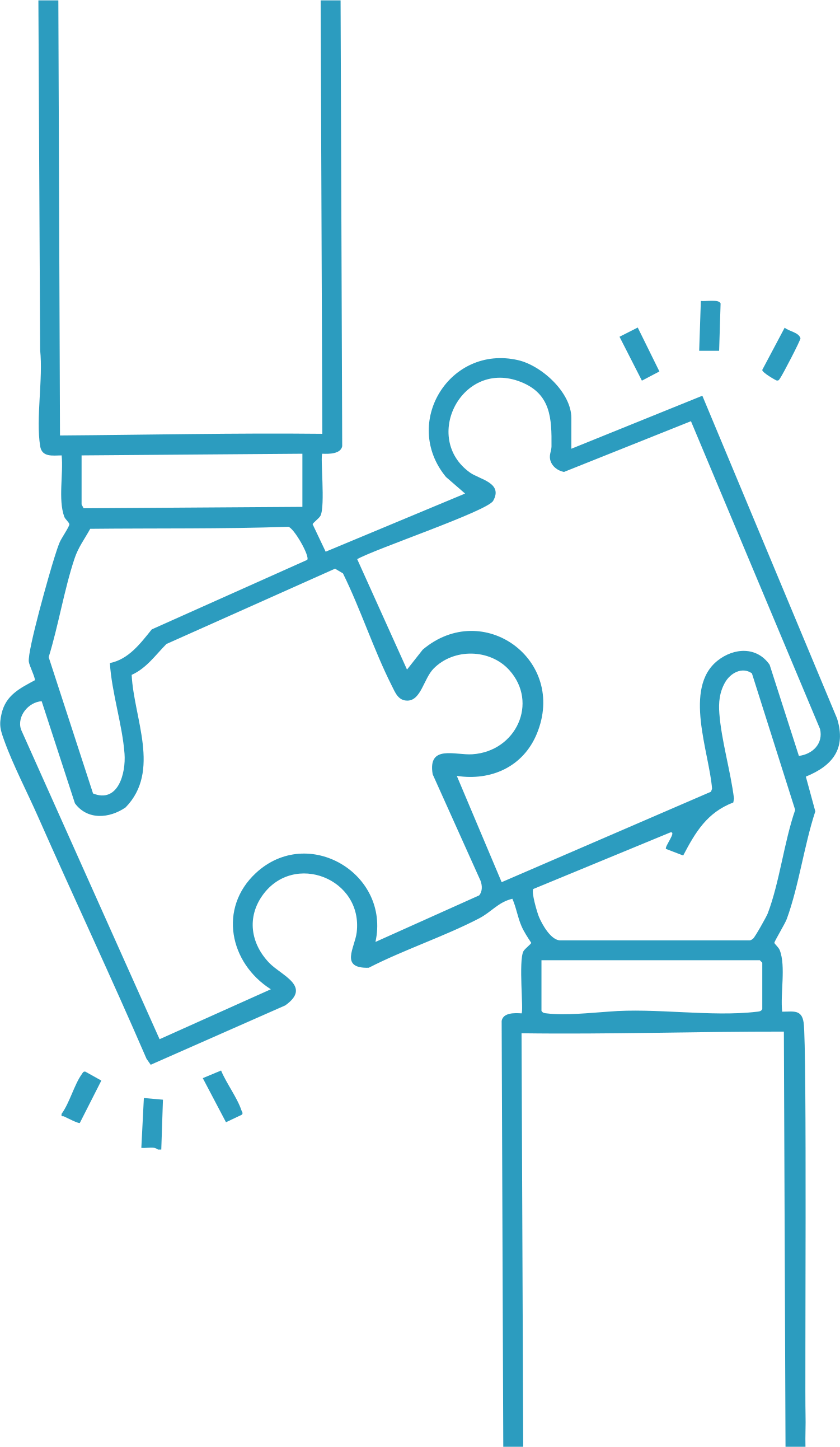 Partner Icon